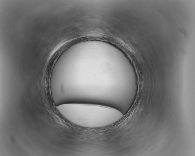 X0000115691400200911120958