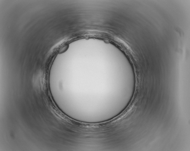 X0000115691403200911120958