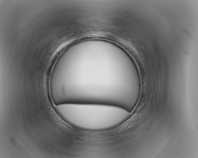 X0000115691404200911120958