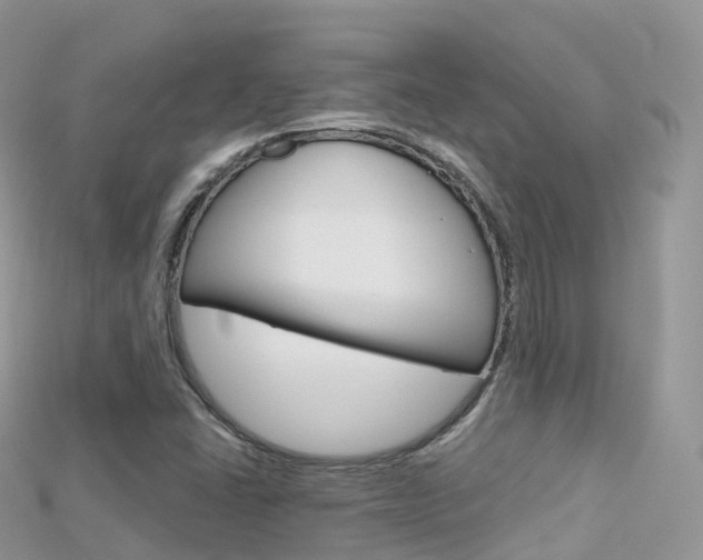 X0000115691406200911120958