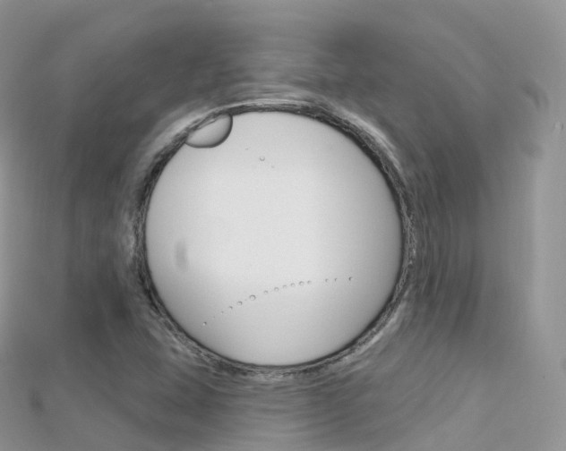 X0000115691407200911120958