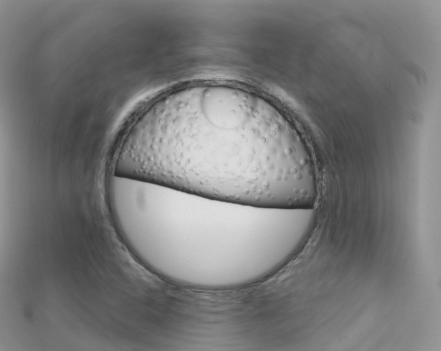 X0000115691408200911120958