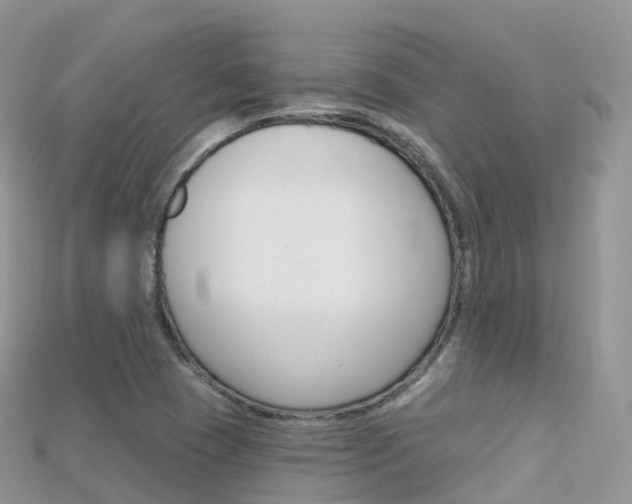 X0000115691409200911120958
