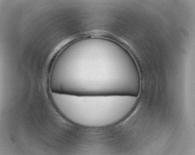 X0000115691410200911120958