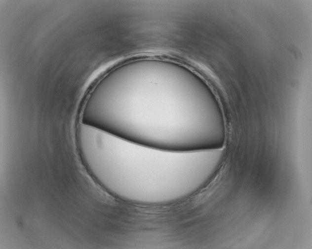 X0000115691412200911120958