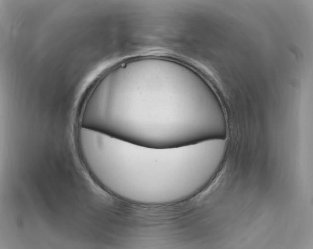 X0000115691414200911120958