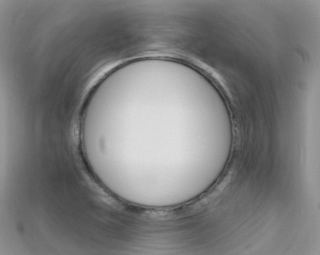 X0000115691415200911120958