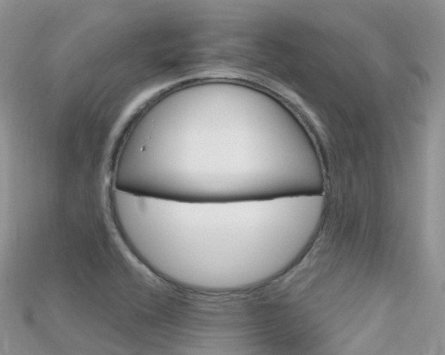 X0000115691416200911120958