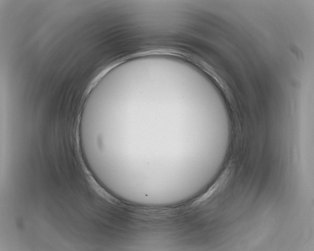 X0000115691417200911120958