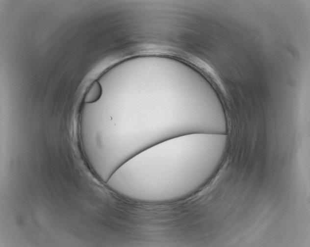 X0000115691419200911120958