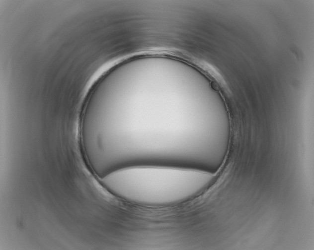 X0000115691420200911120958