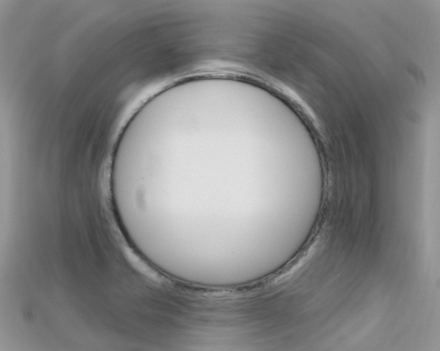 X0000115691421200911120958