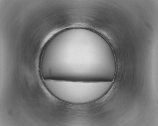 X0000115691422200911120958