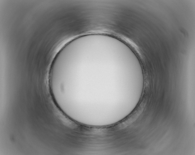 X0000115691423200911120958