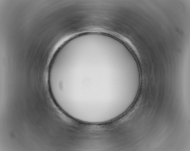 X0000115691424200911120958