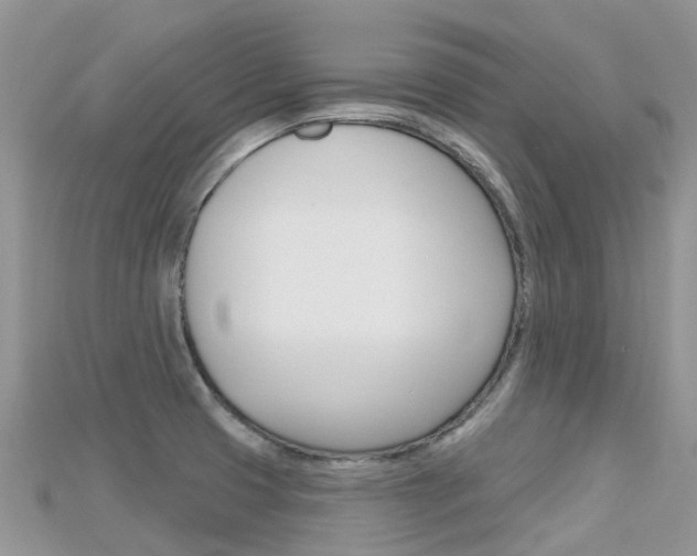 X0000115691425200911120958