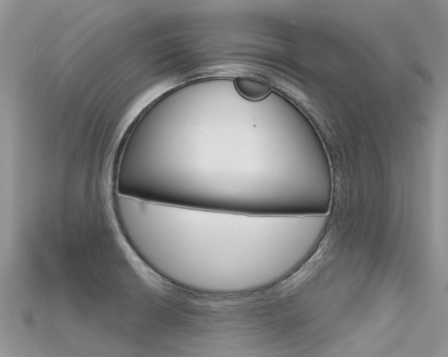 X0000115691426200911120958