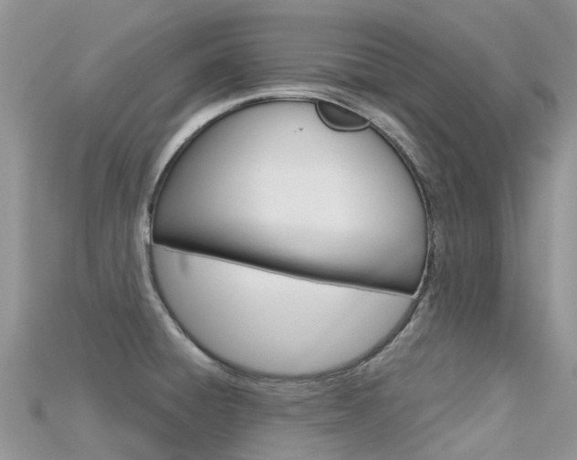 X0000115691428200911120958