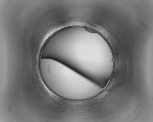 X0000115691430200911120958