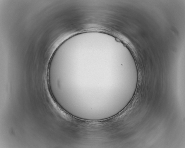X0000115691431200911120958