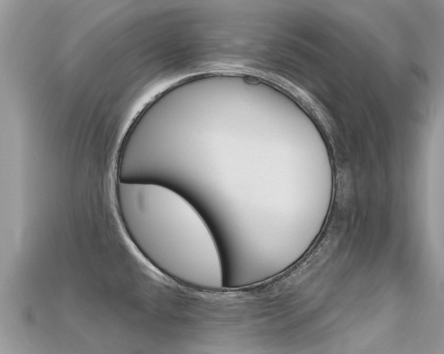 X0000115691432200911120958