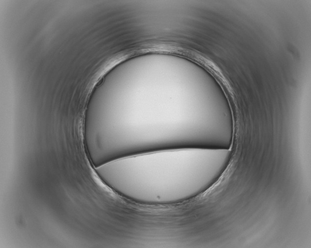 X0000115691433200911120958