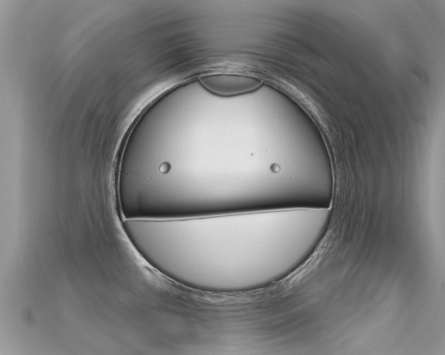 X0000115691434200911120958