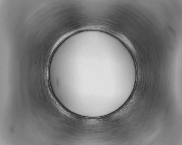 X0000115691436200911120958