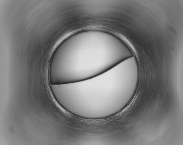 X0000115691437200911120958