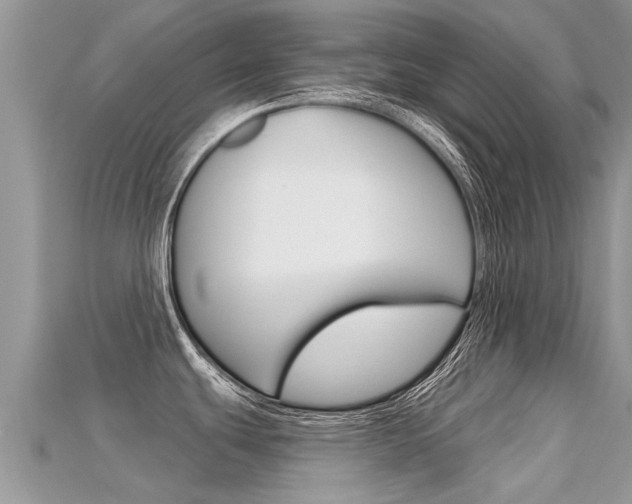 X0000115691439200911120958