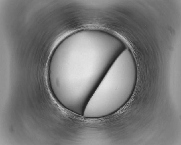 X0000115691440200911120958