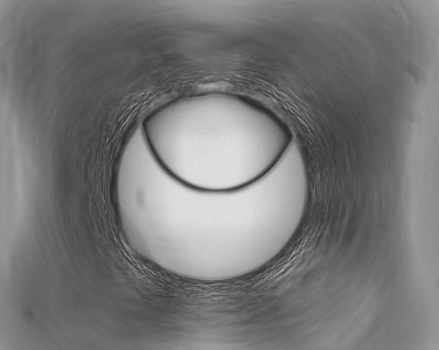 X0000115691441200911120958