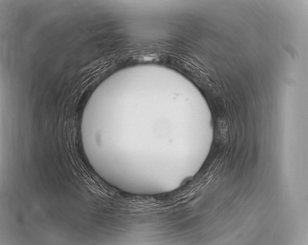 X0000115691442200911120958