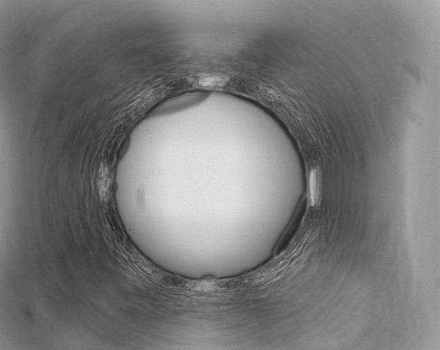 X0000115691443200911120958