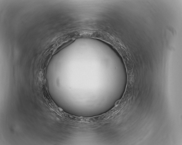 X0000115691445200911120958