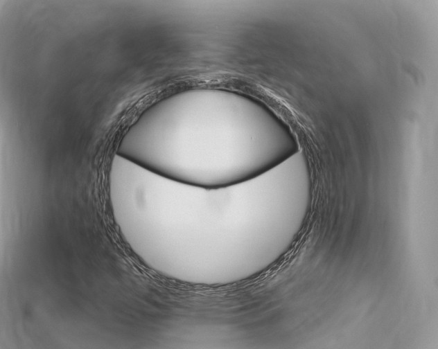 X0000115691447200911120958