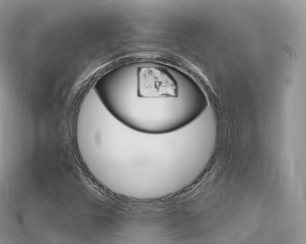 X0000115691448200911120958