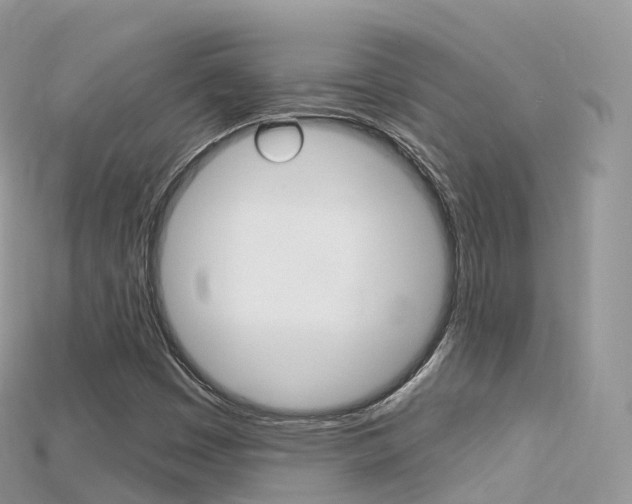 X0000115691449200911120958