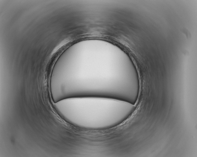 X0000115691450200911120958