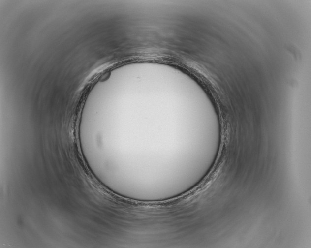 X0000115691451200911120958