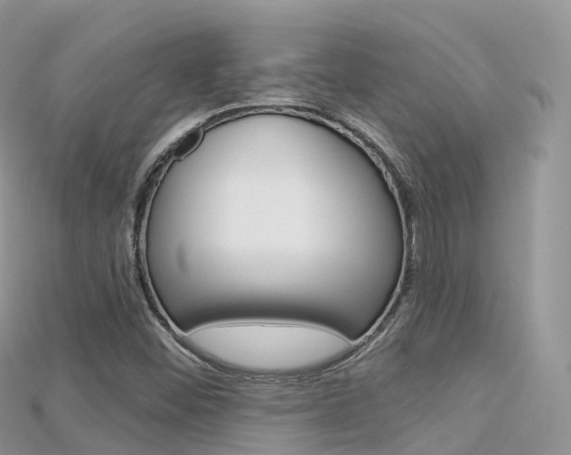 X0000115691452200911120958
