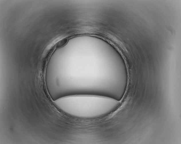 X0000115691453200911120958