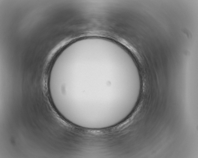X0000115691454200911120958