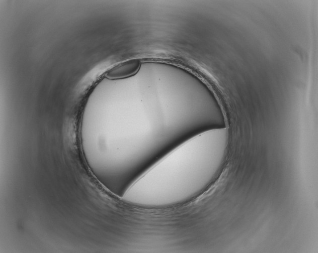 X0000115691455200911120958