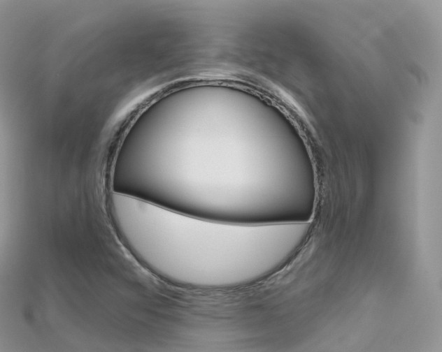 X0000115691456200911120958