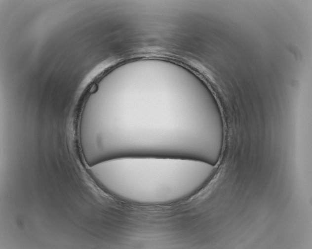 X0000115691458200911120957
