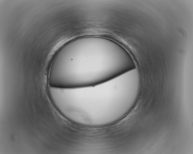 X0000115691459200911120957