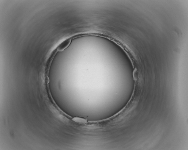 X0000115691460200911120957