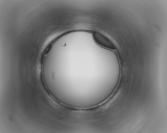 X0000115691461200911120957