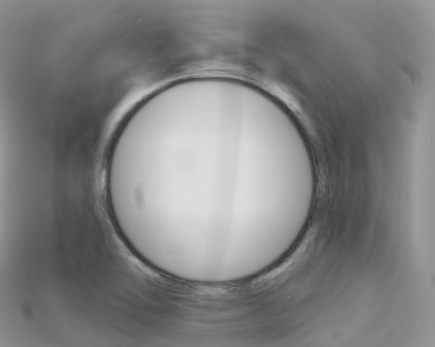 X0000115691462200911120957